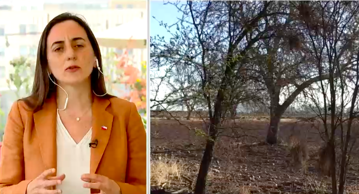 Ministra de Agricultura no descarta decretar emergencia agrícola en nuevas zonas: 