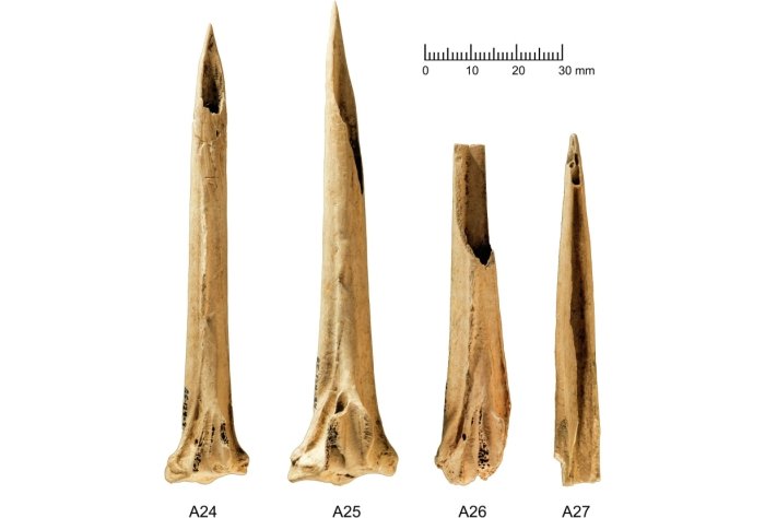 Descubren los instrumentos para hacer tatuajes más antiguos del mundo