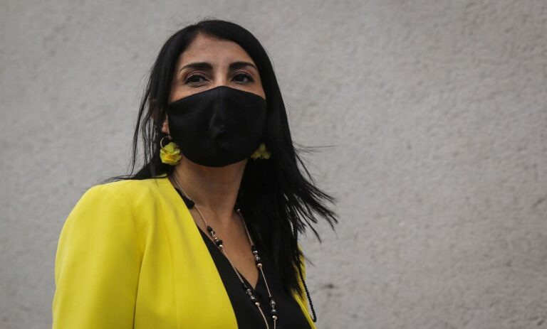 Rubilar y proyecto de pensiones: 