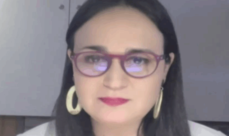 Carol Bown sobre trabajo en la Convención Constitucional: 