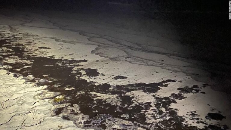 Derrame de petróleo en EE.UU. es un “potencial desastre ecológico”: Ya han muerto varias aves y peces