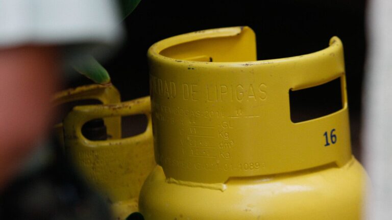 FNE reafirma recomendación de modificaciones en mercado del gas: Empresas advirtieron un 