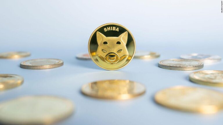 Criptomonedas: Shiba inu alcanza precio récord y petición a Robinhood podría incluirla en la plataforma