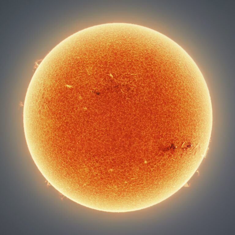 Los detalles de esta foto hacen parecer al Sol como un organismo vivo bajo un microscopio