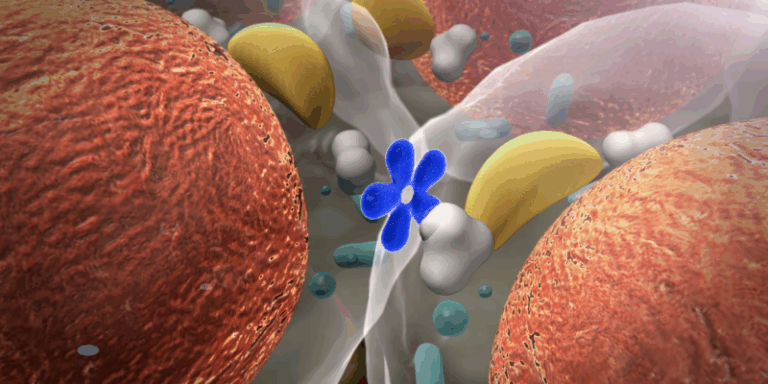 Científicos de Harvard logran desactivar hormona para revertir la diabetes en ratones