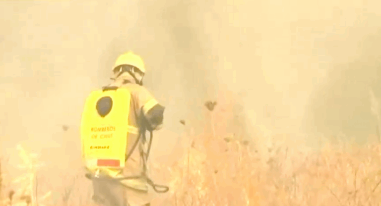 Más de 170 incendios forestales siguen activos a lo largo de Chile