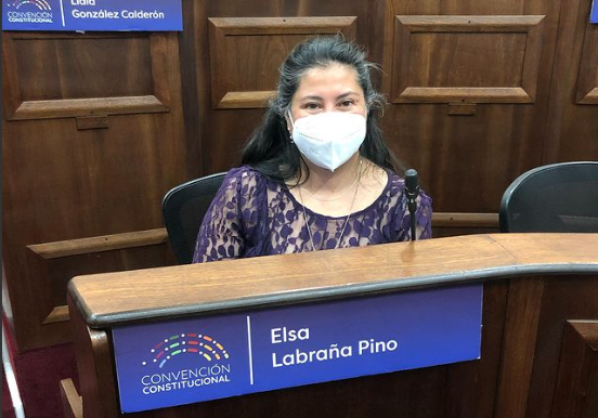 Convencional Elsa Labraña anunció su salida del colectivo Pueblo Constituyente
