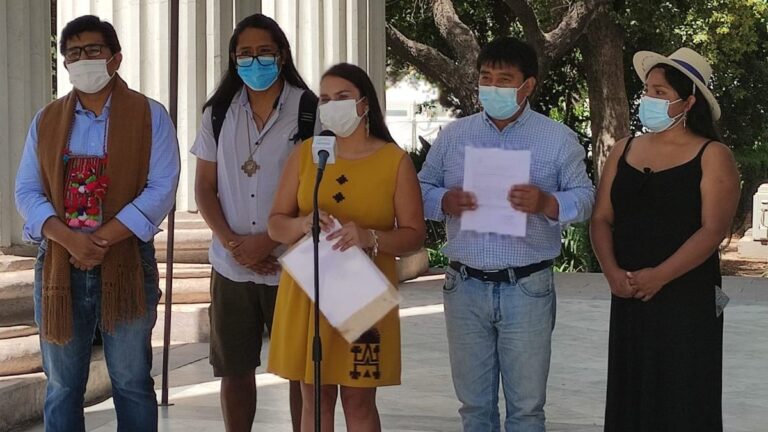 Los detalles de la norma sobre plurinacionalidad que ingresaron los escaños reservados de la Convención