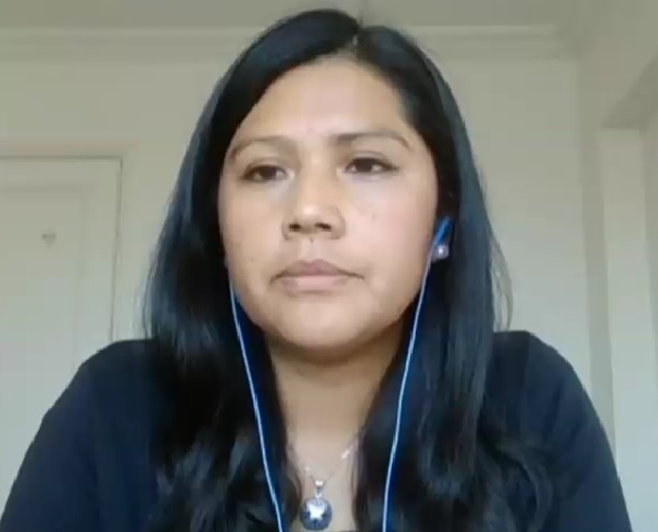 Convencional Llanquileo sobre la consulta indígena: 