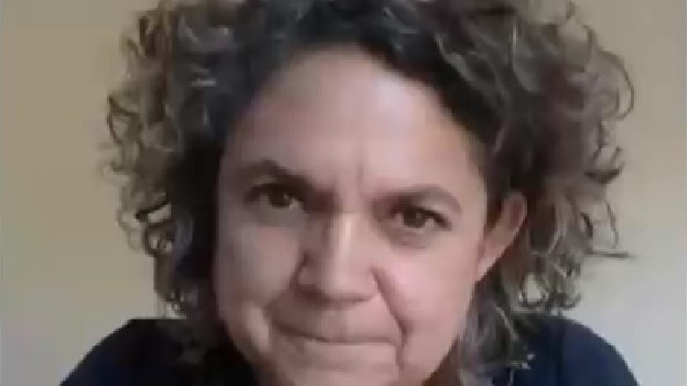 Académica Usach sobre apoyo de Bachelet a Boric: 