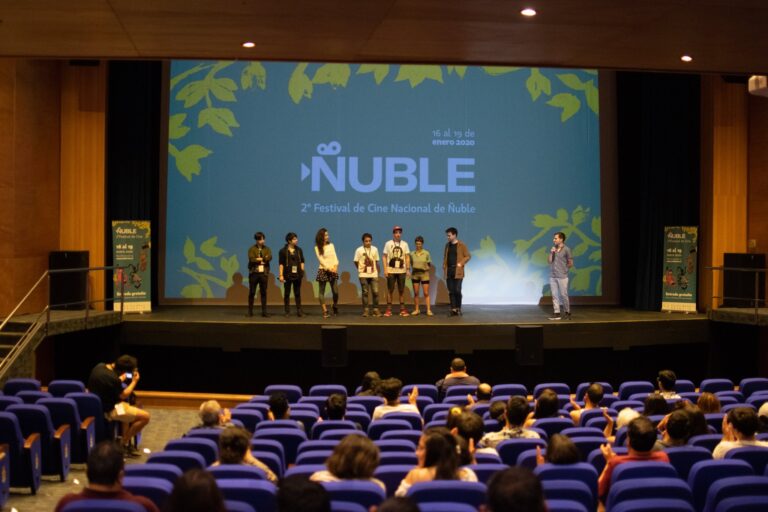 Esta es la programación para el Festival de Cine de Ñuble