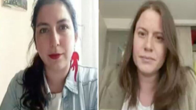 Carrillo y Hube debatieron en torno a las discusiones sobre sistema político en la Convención