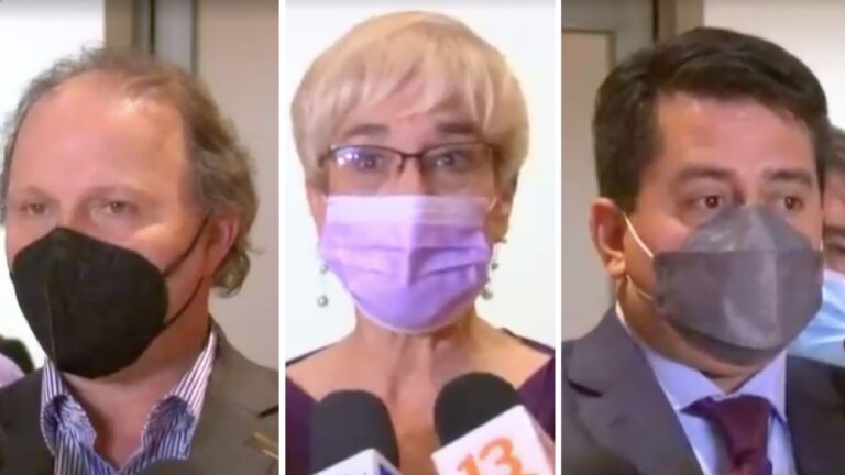 Declaran admisible indicación sobre amnistía en proyecto sobre 