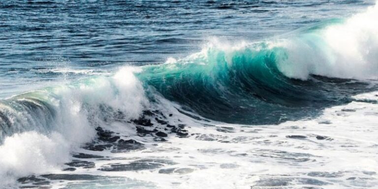 Chileno es elegido por la ONU para ser parte de un grupo de expertos que redactará un informe de Evaluación de los Océanos