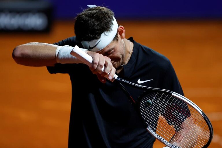 Así fue el emotivo momento en que Del Potro rompió en llanto en la cancha