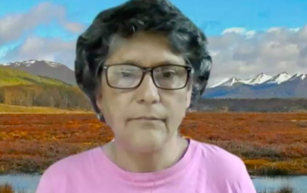 Bárbara Saavedra ante incendio forestal en Tierra del Fuego: 