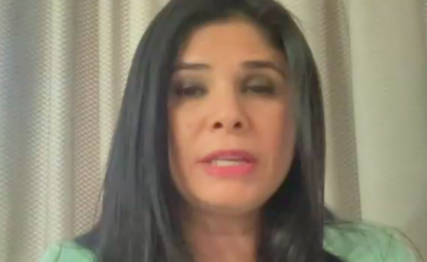 Pollyana Rivera e iniciativas de la derecha en la Convención: 