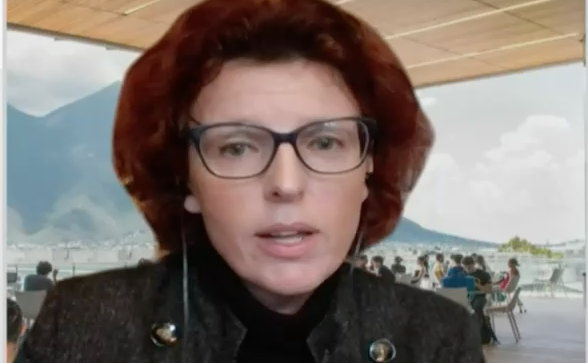 Beata Wojna, Dra. en RR.EE.: 