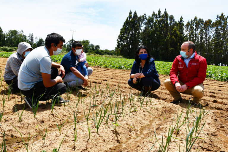 Gobierno pidió la renuncia de Ignacio Malig como director nacional de la CONADI
