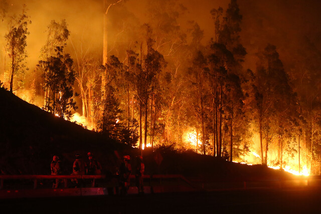 Declaran Alerta Roja en San Rosendo por incendio forestal activo cercano a sectores habitados