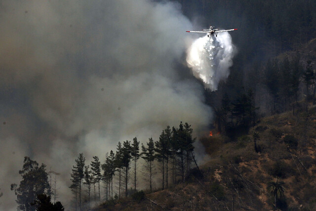 Mantienen Alerta Roja en la comuna de Coelemu por incendio forestal