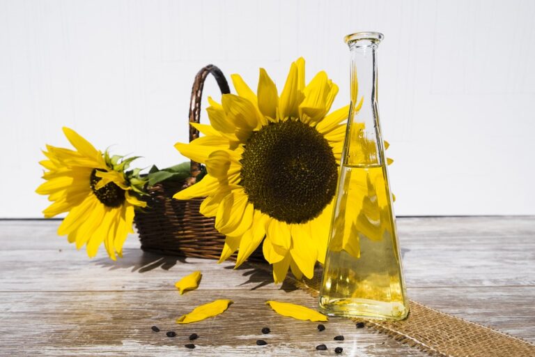 Rusia prohibirá exportación de semillas de girasol y fijará cuotas para el aceite