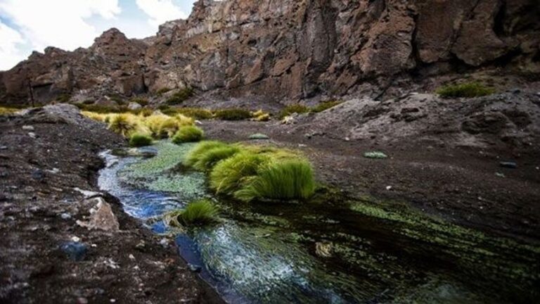 Canciller Urrejola encabezó su primera reunión del Consejo Asesor de cara a alegatos del Caso Silala