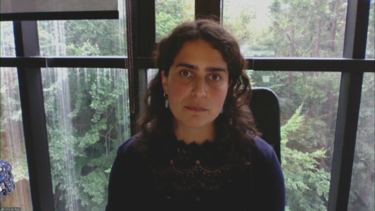 Irene del Real y la nacionalización del cobre: 