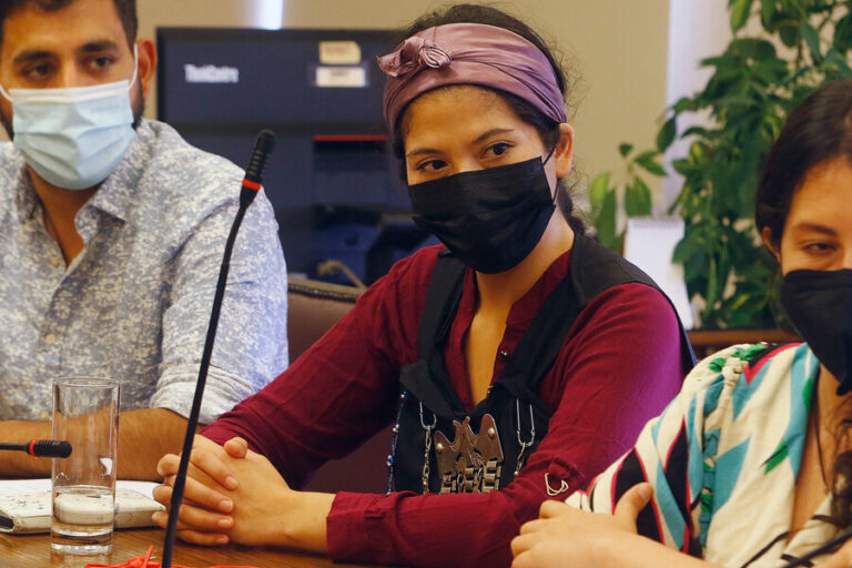 Diputada Ñanco por Estado de Excepción en La Araucanía: 