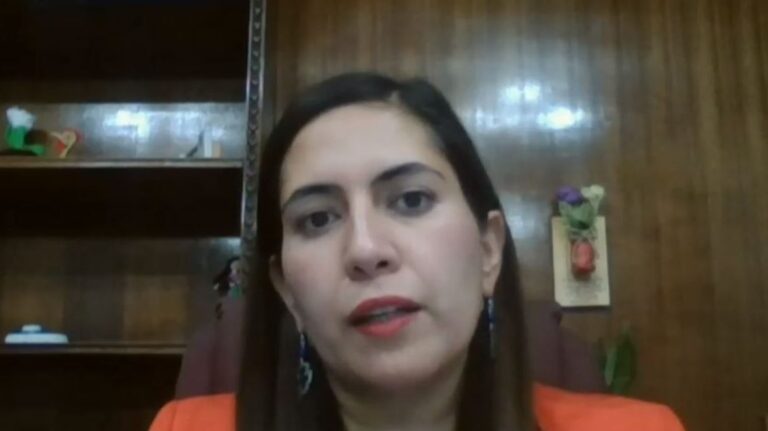 Alcaldesa Delfino tras detención por amenaza de masacre escolar: 