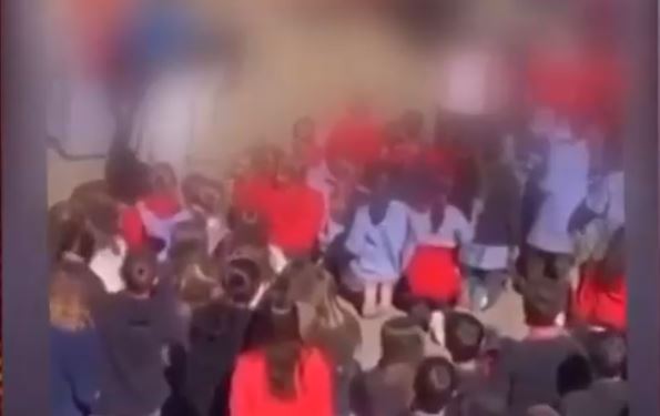 Ministro de Educación anunció investigación por denuncia de maltrato animal en Colegio San Benito