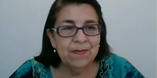 Rosa Oyarce, ex seremi de Salud, por venta callejera de carne de perros: 