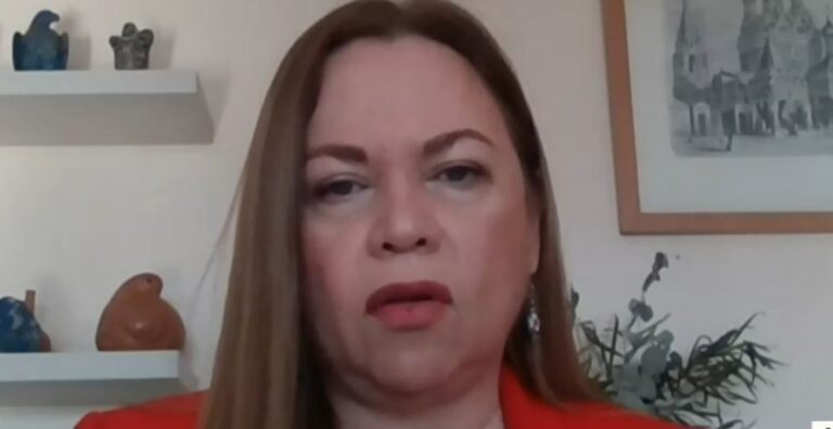 Loreto Correa y alegatos por caso del río Silala: 