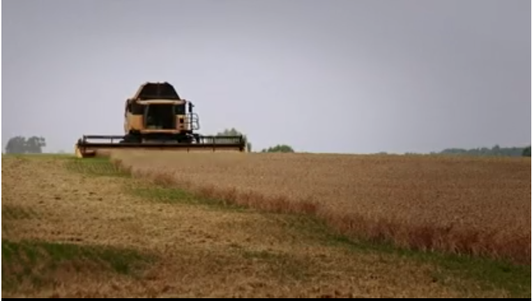 Cómo el aumento en el precio de alimentos y combustibles está llevando a los países al límite