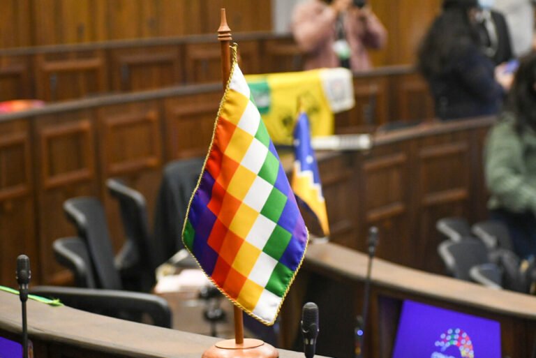 Columna de Álvaro Vergara: La plurinacionalidad explicada