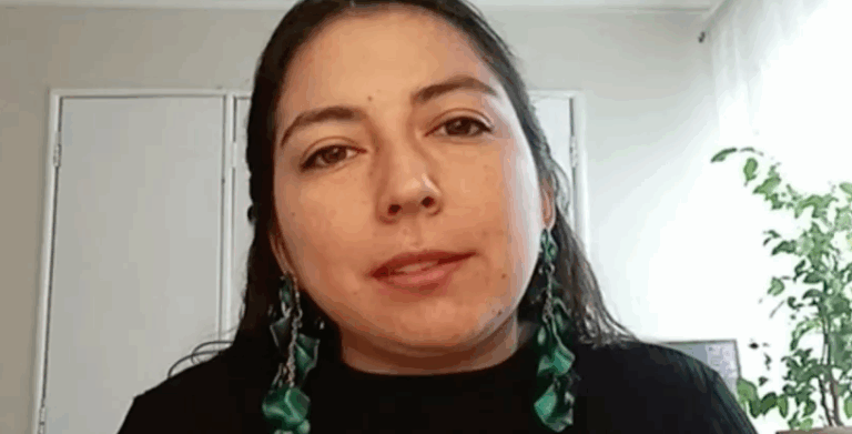 Convencional Carrillo y discusión por Sistema Político: 