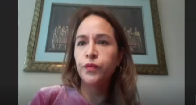 Diputada Pérez por Estado de Excepción en el sur: 