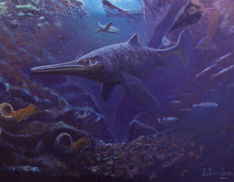 Recuperan el fósil de Fiona en la Patagonia: La primer ictiosaurio completa con embriones intactos del mundo