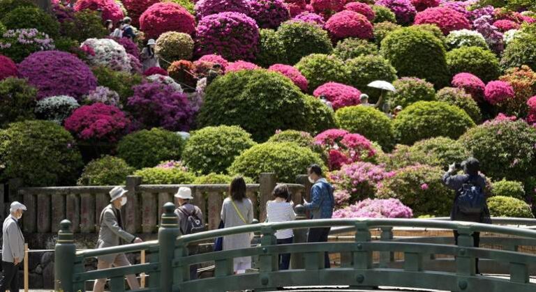 Japón se reabrió formalmente al turismo tras más de dos años de pandemia