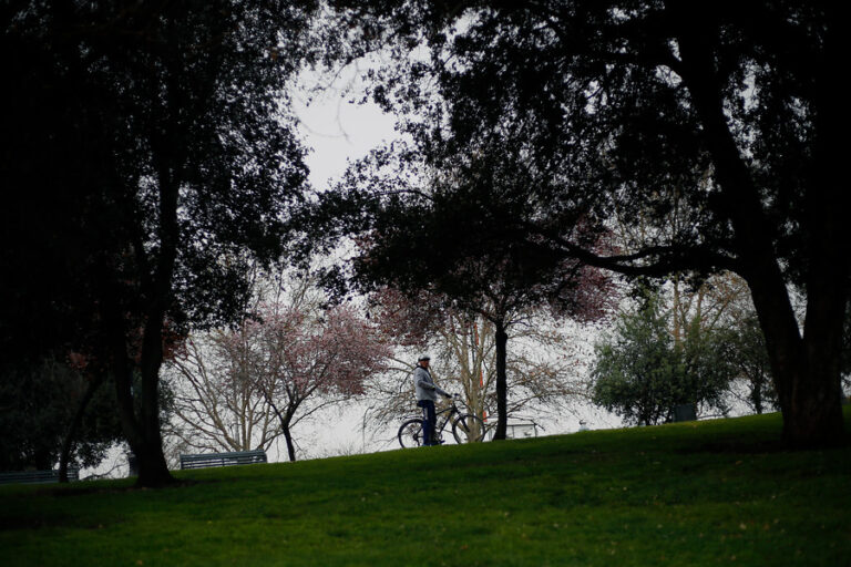 Columna de Matías Honour: Áreas verdes y escasez hídrica, una disyuntiva que hay que enfrentar