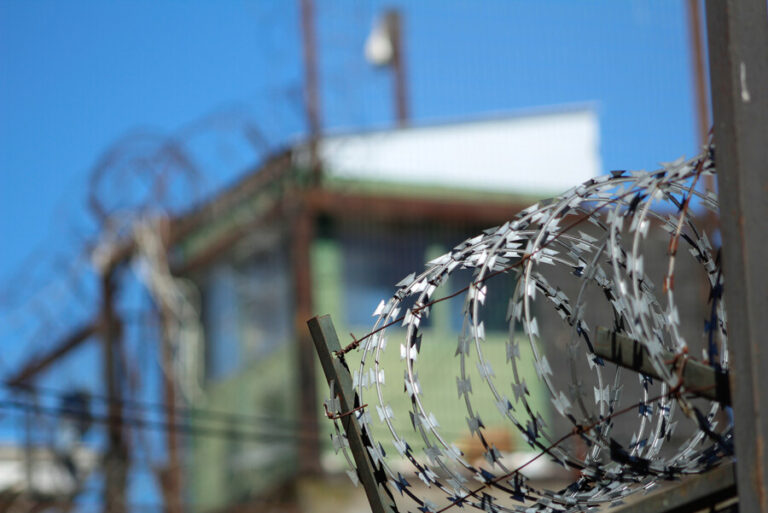 Columna de Camila Flores: El terror de la libertad condicional