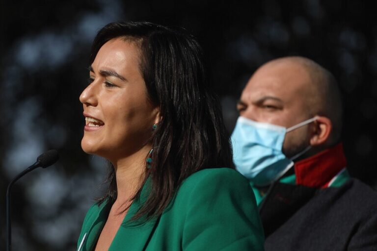 Vicepresidenta Siches: 