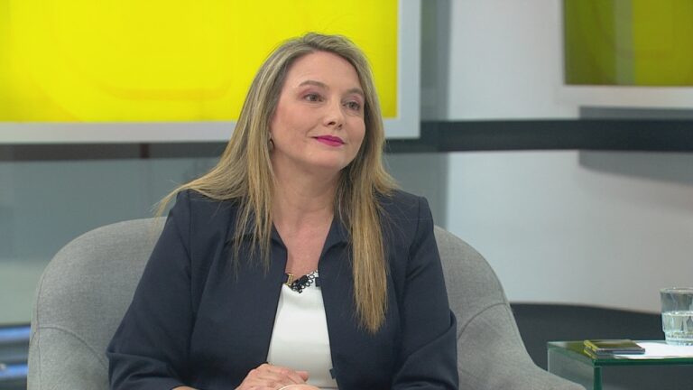 Diputada Del Real sobre proyecto que prohíbe los vidrios polarizados: 
