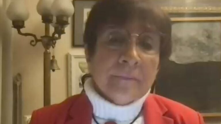 Diputada Hertz ante estado de excepción: 