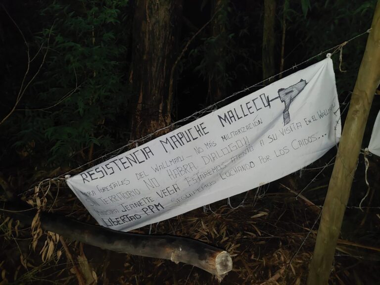 Fiscalía abre investigación por amenazas contra ministra Jeanette Vega tras atentado en Collipulli