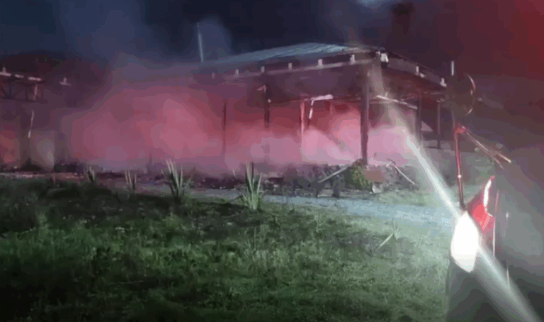 Diputada Pérez y conflictos en la macrozona sur: 