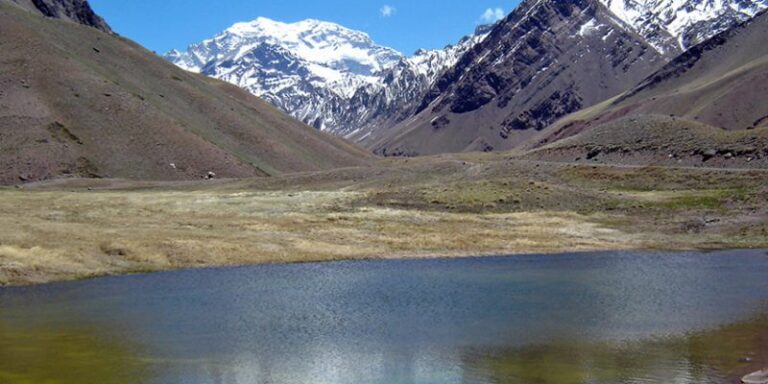 ¿Qué son los bienes comunes naturales y qué dice sobre ellos la propuesta de nueva Constitución?