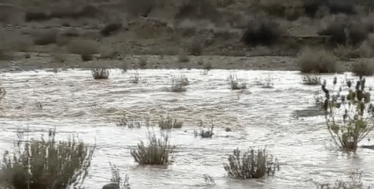 Región de Coquimbo: Sistema frontal en la zona centro norte dejó aisladas a localidades rurales