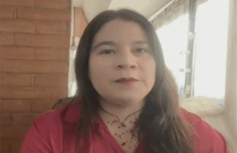 Economista de la Usach: 