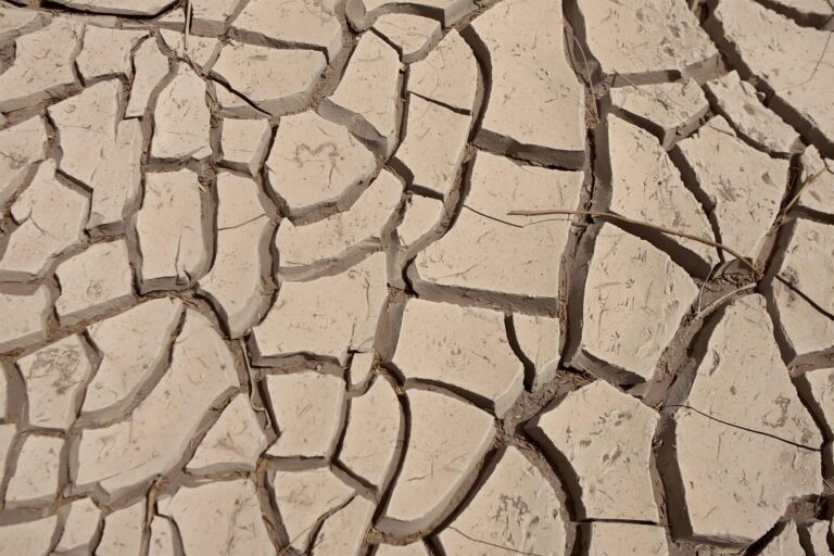 La sequía, el deshielo y la deforestación seguirán agravándose en América Latina y el Caribe